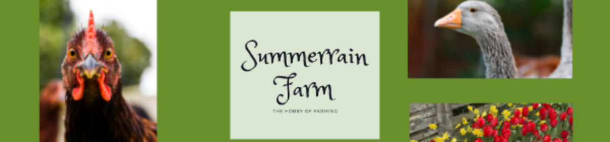 Summer Rain Farm